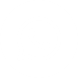 WhatsApp Icon